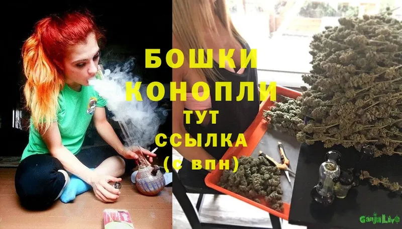 Бошки марихуана SATIVA & INDICA  где купить   это как зайти  Жердевка 